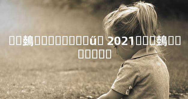 ��鵱�����̰��ű� 2021���鵱�������